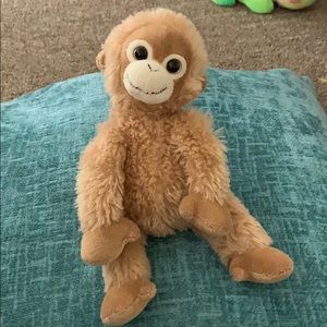 Bongo beanie baby